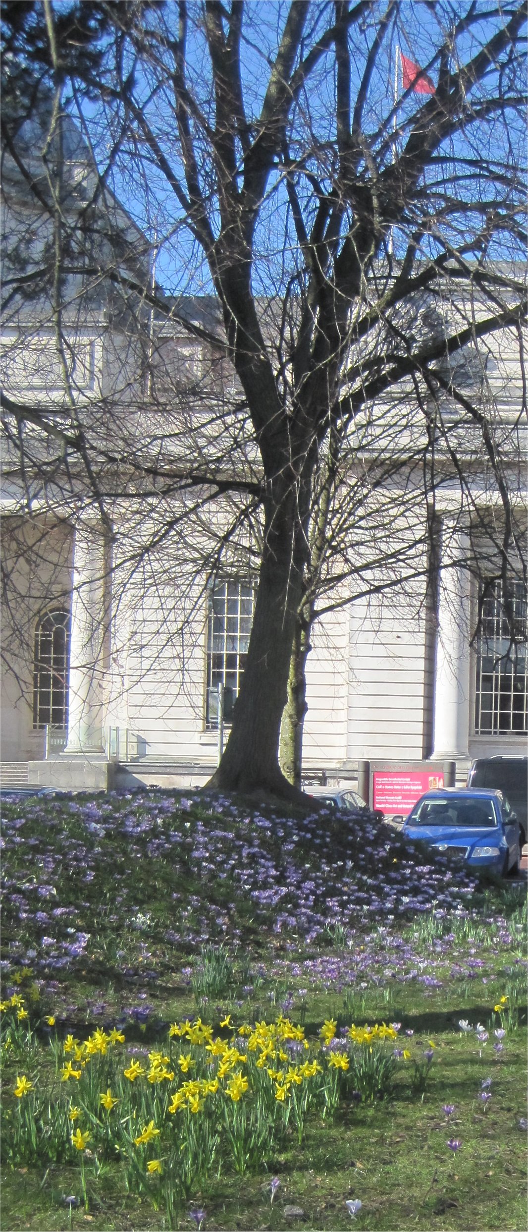 cardiff museum in spring by Juliamaud