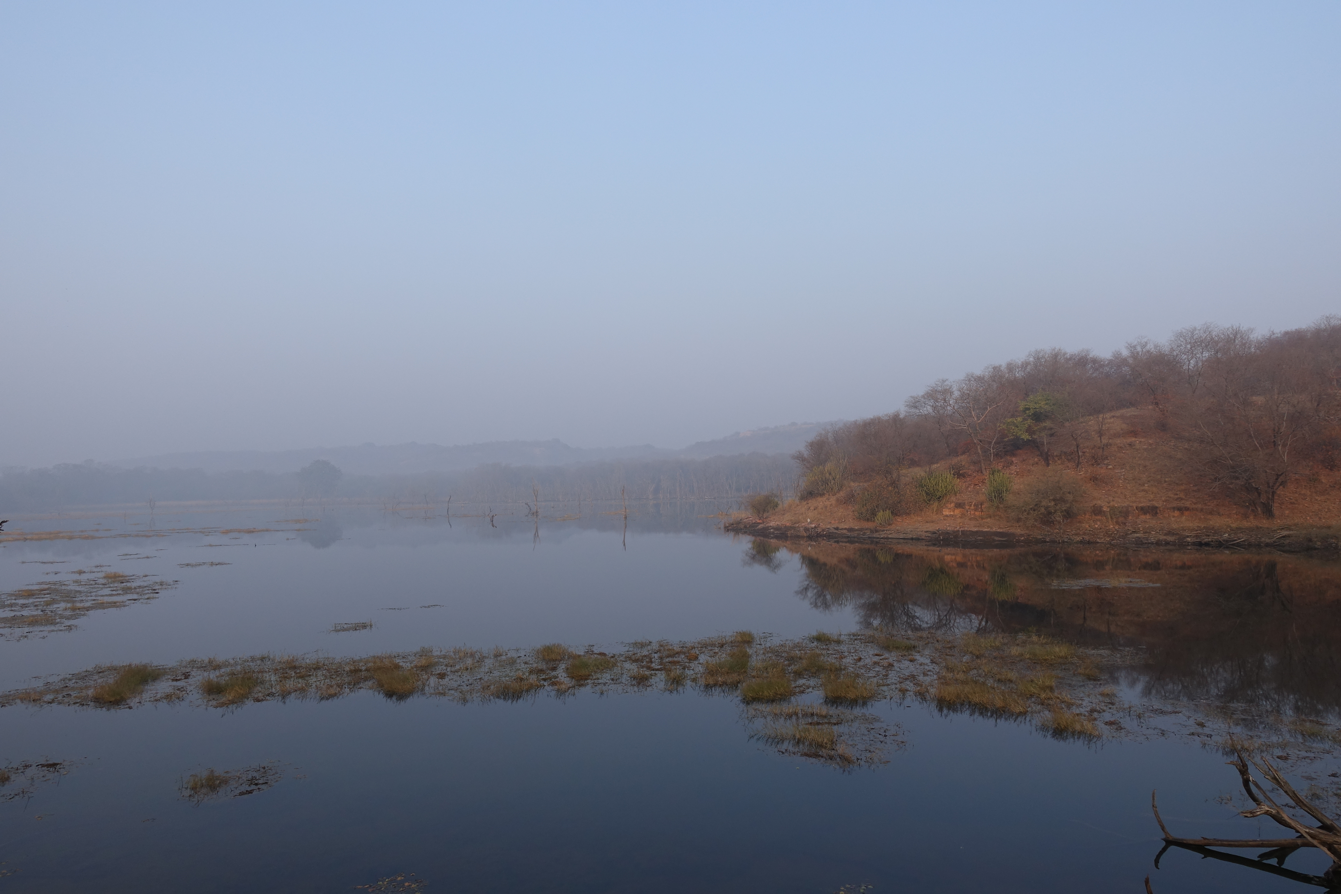 Ranthambhore National Park - photo by Juliamaud