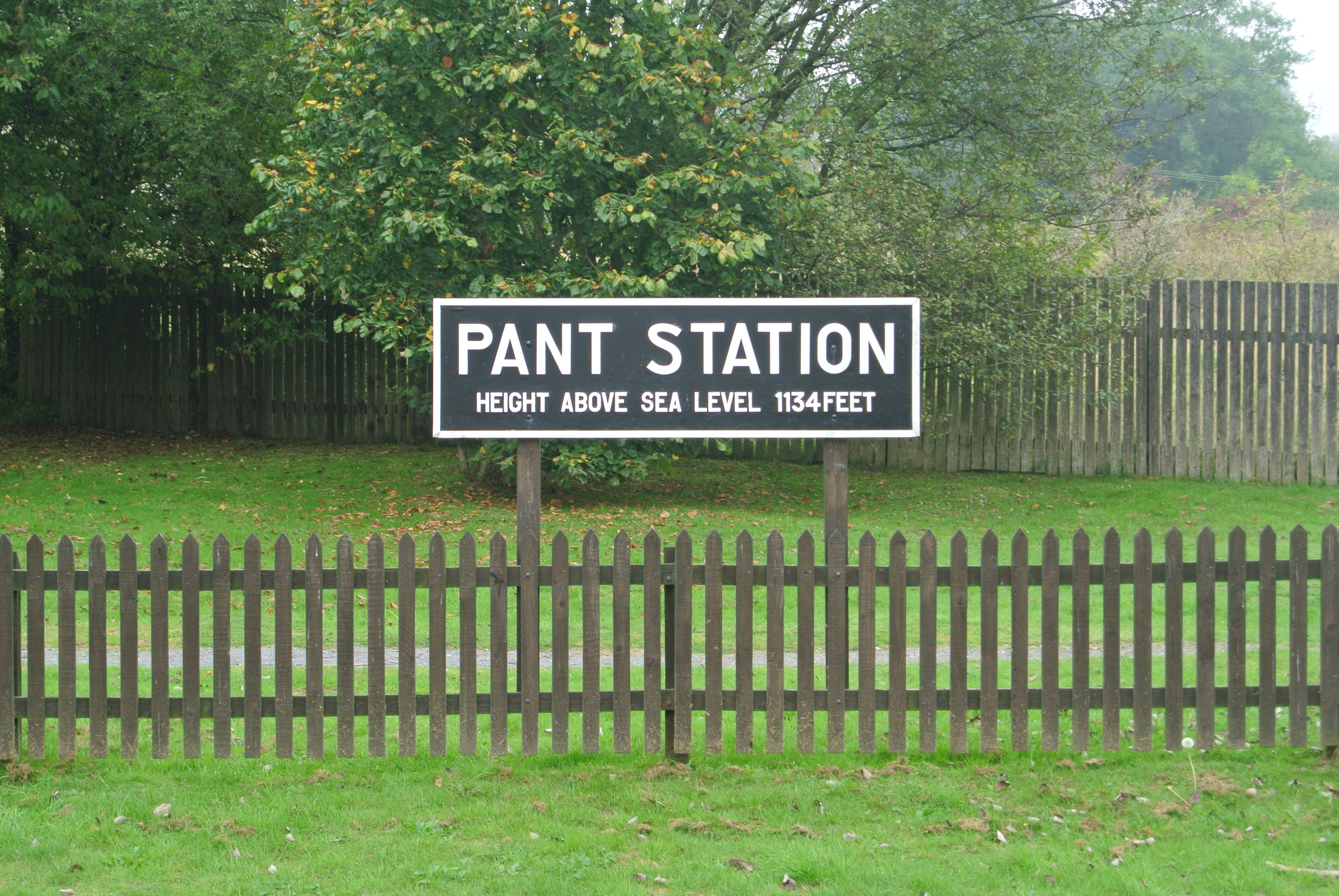 Pant Station photos by juliamaud