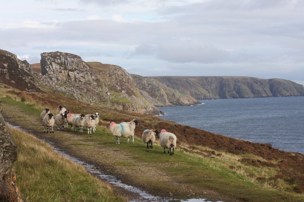 Hebrides - Isle of Lewis landscape by electrickity 