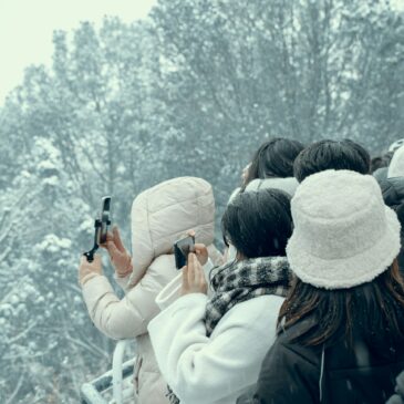 Photo by Flintov Vlad on Unsplash