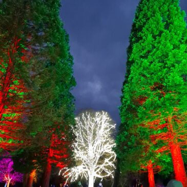 christmas at Blenheim Palace