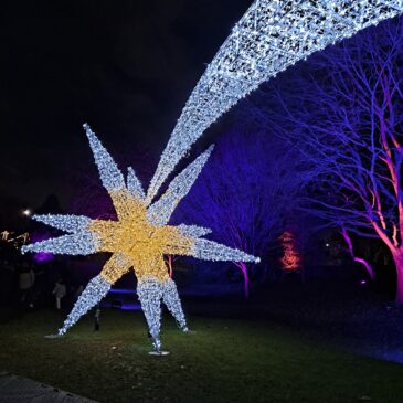 shooting star in Chelsea