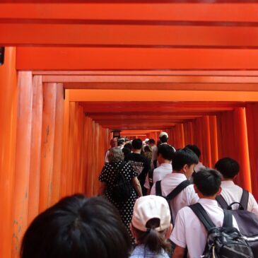 crowds at Tori Gates Kyoto