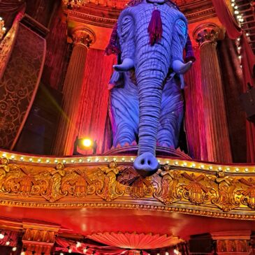 Elephant at Moulin Rouge